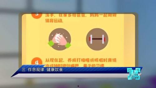 贵州6频道直播在线观看,实时掌握贵州新闻动态，一键观看精彩节目  第1张